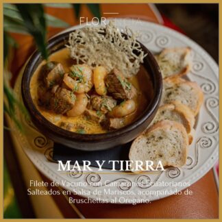 MAR Y TIERRA